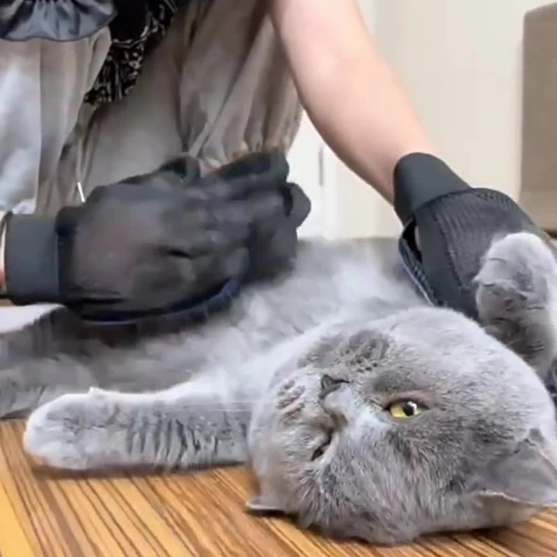 Pet Care Gloves – Wash, Brush & Massage Your Furry Friend